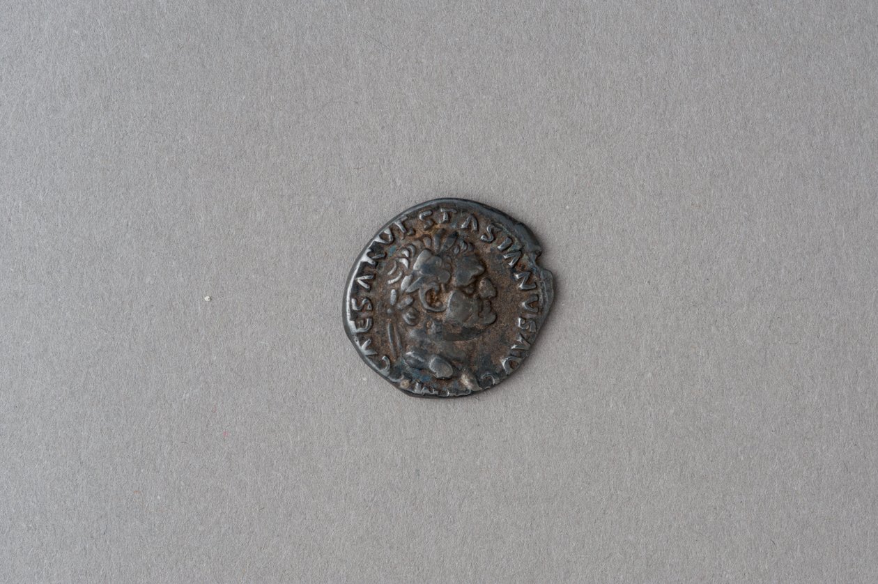 Denarius van Vespasianus (zilver) door Roman