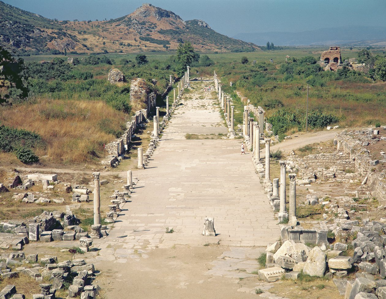 Uitzicht op de Arcadische Weg door Roman