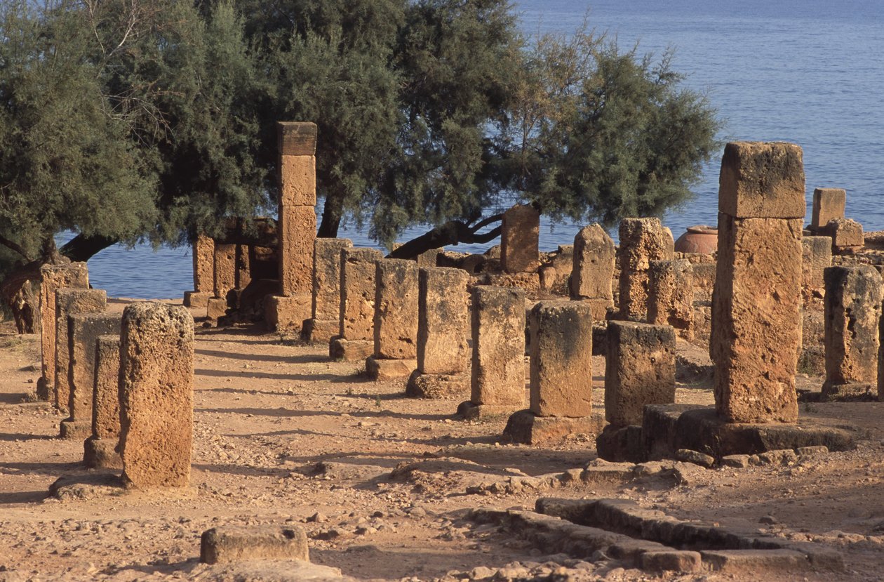 Uitzicht op de Cardo door Roman