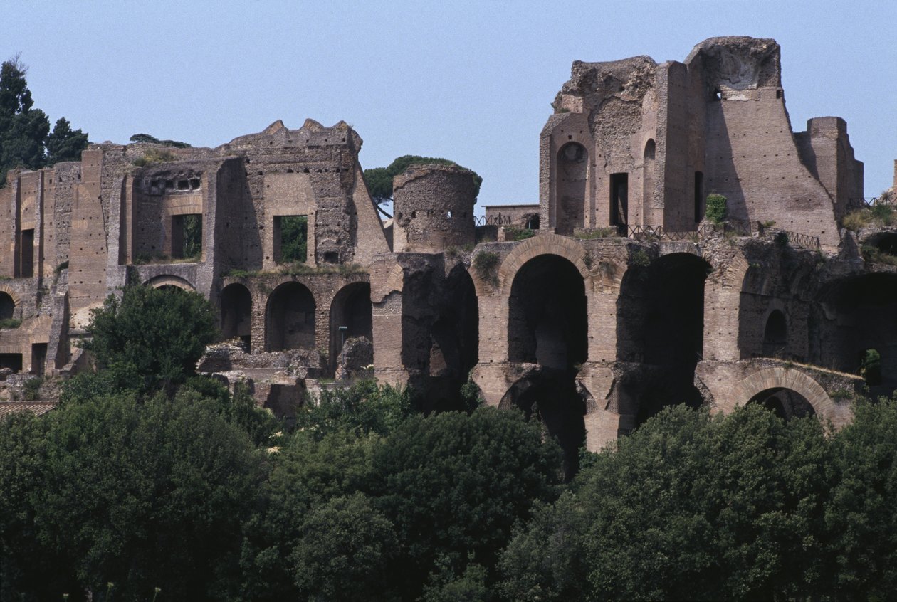 Uitzicht op de Palatijn vanaf het Circus Maximus door Roman
