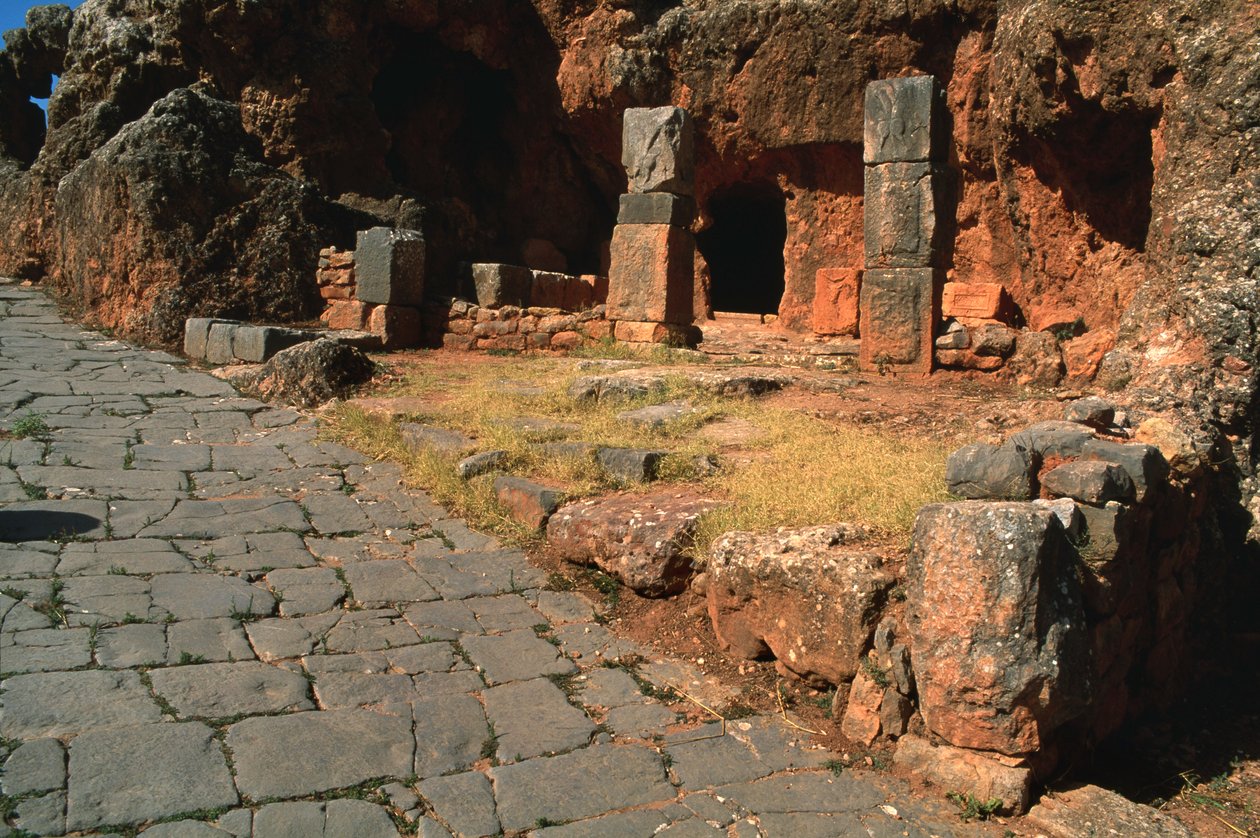 Uitzicht op de cardo en de tempel van Mithras door Roman