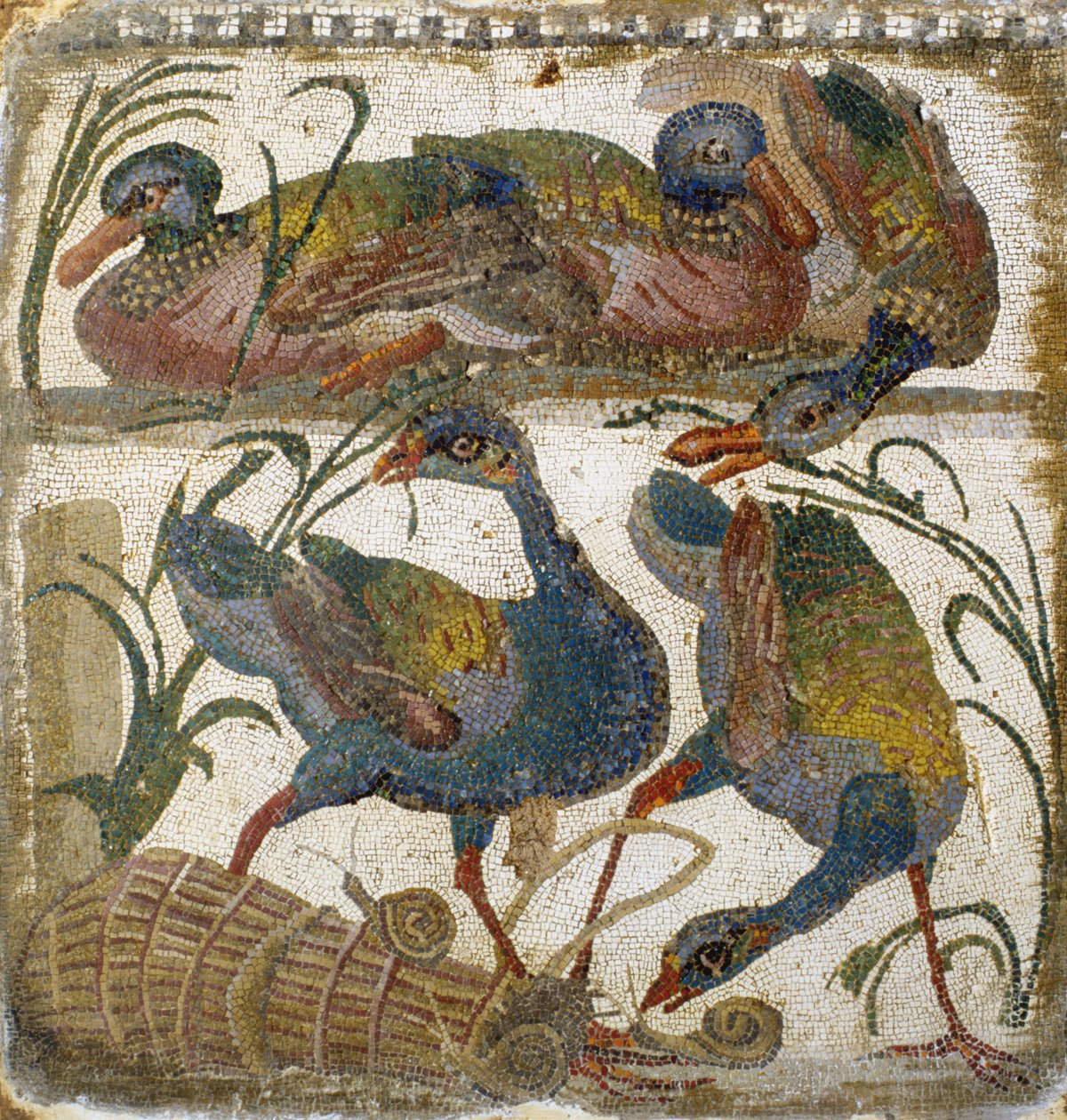 Watervogels (mozaïek) door Roman