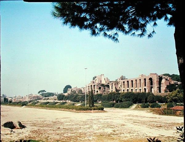 Uitzicht op het Circus Maximus door Roman Roman