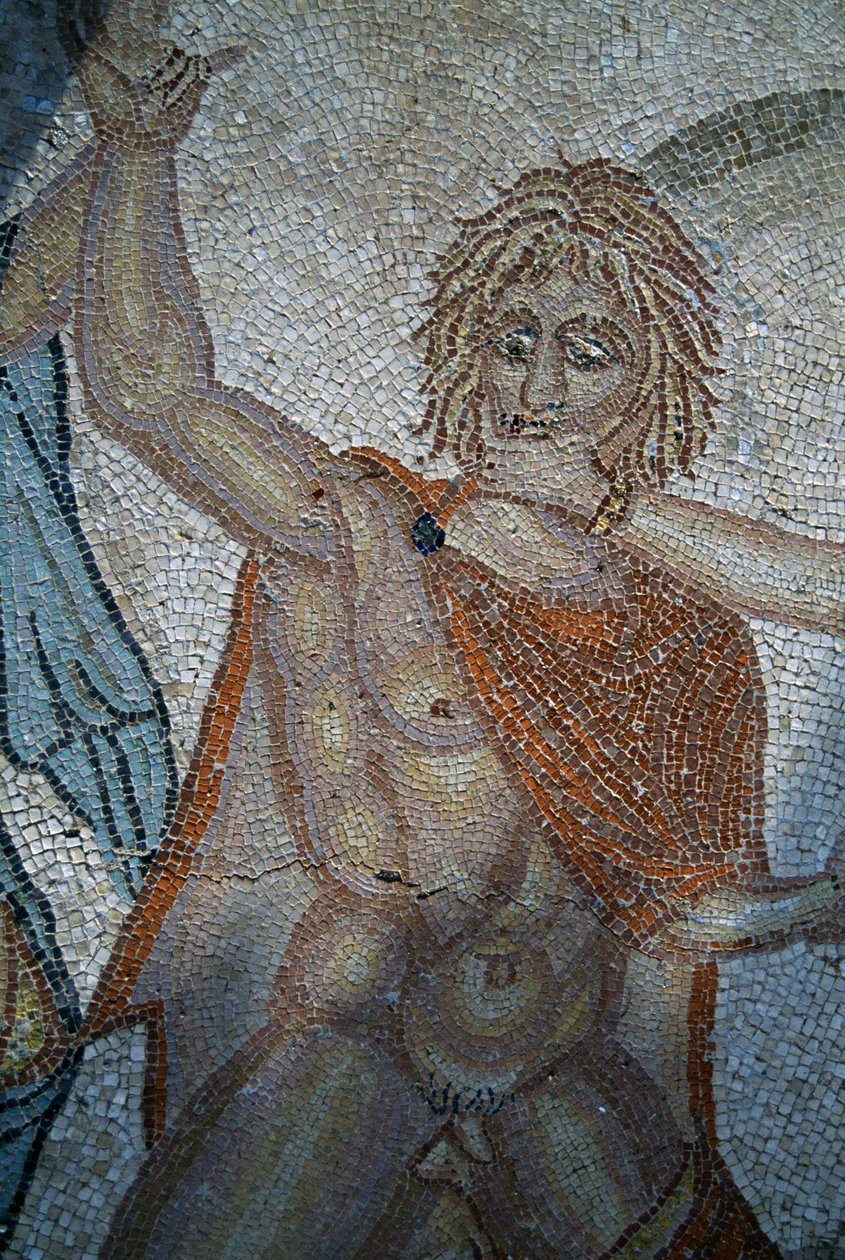Ontvoering van Hylas door nimfen, mozaïek in Huis van Venus in Romeinse stad Volubilis (UNESCO Werelderfgoedlijst) door Roman