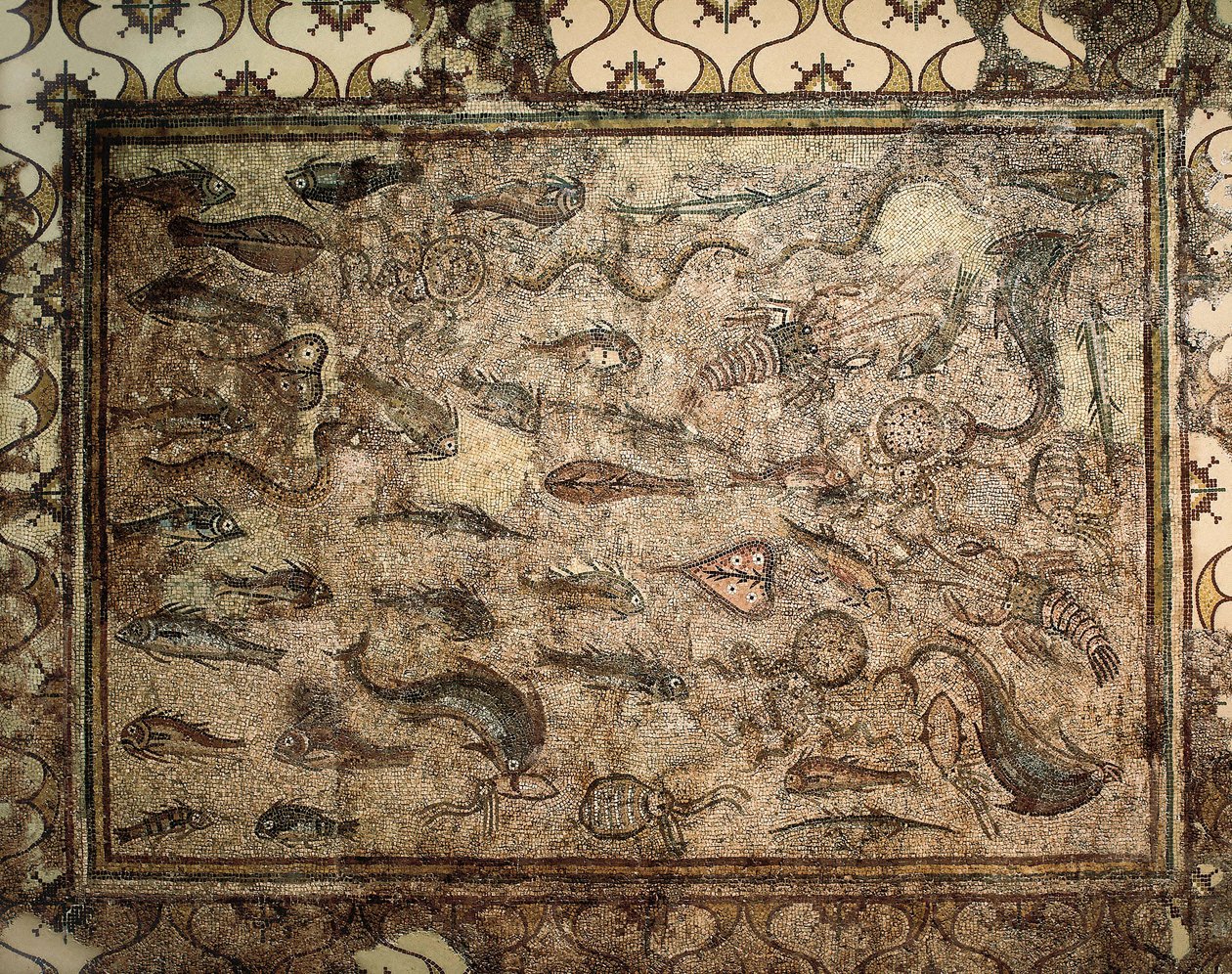 Romeinse kunst: mozaïek van vissen door Roman