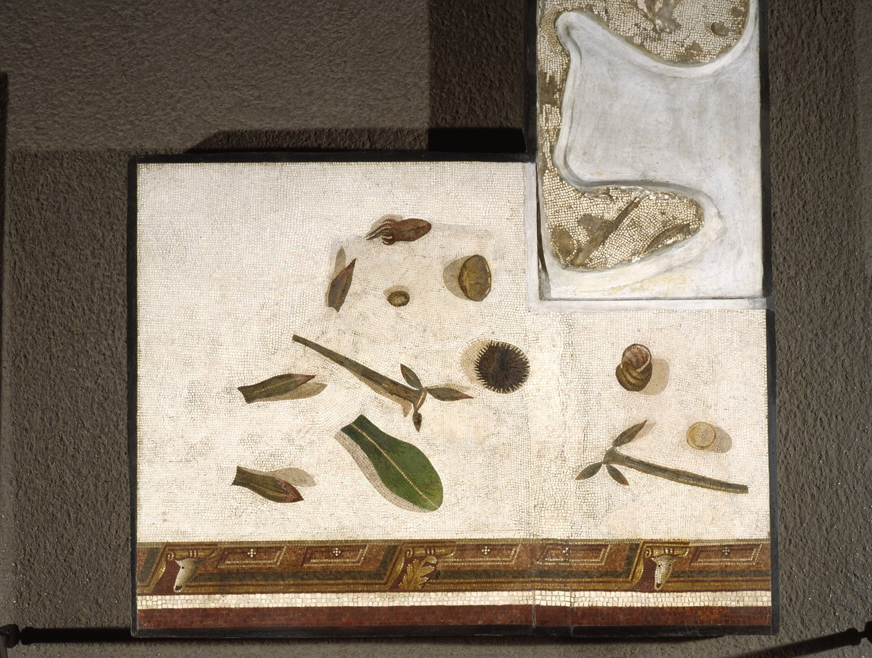 “Asarotos” (Ongeveegde vloer) Fragmenten van mozaïek, gesigneerd door Harakliton uit Rome, 2e eeuw na Christus door Roman