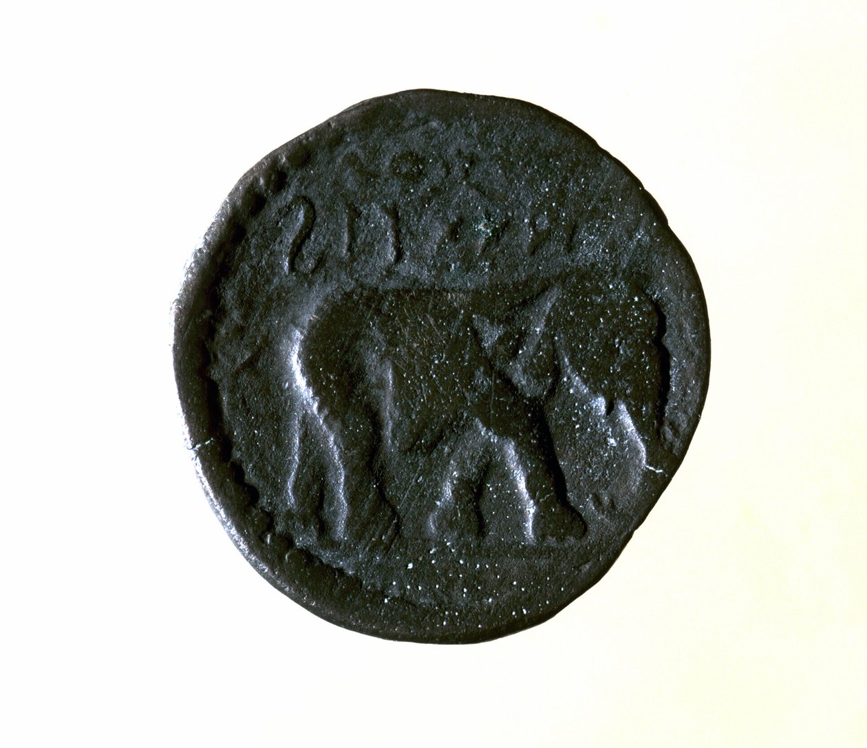 Carthaagse munt met een olifant. 3e of 2e eeuw v.Chr. door Roman