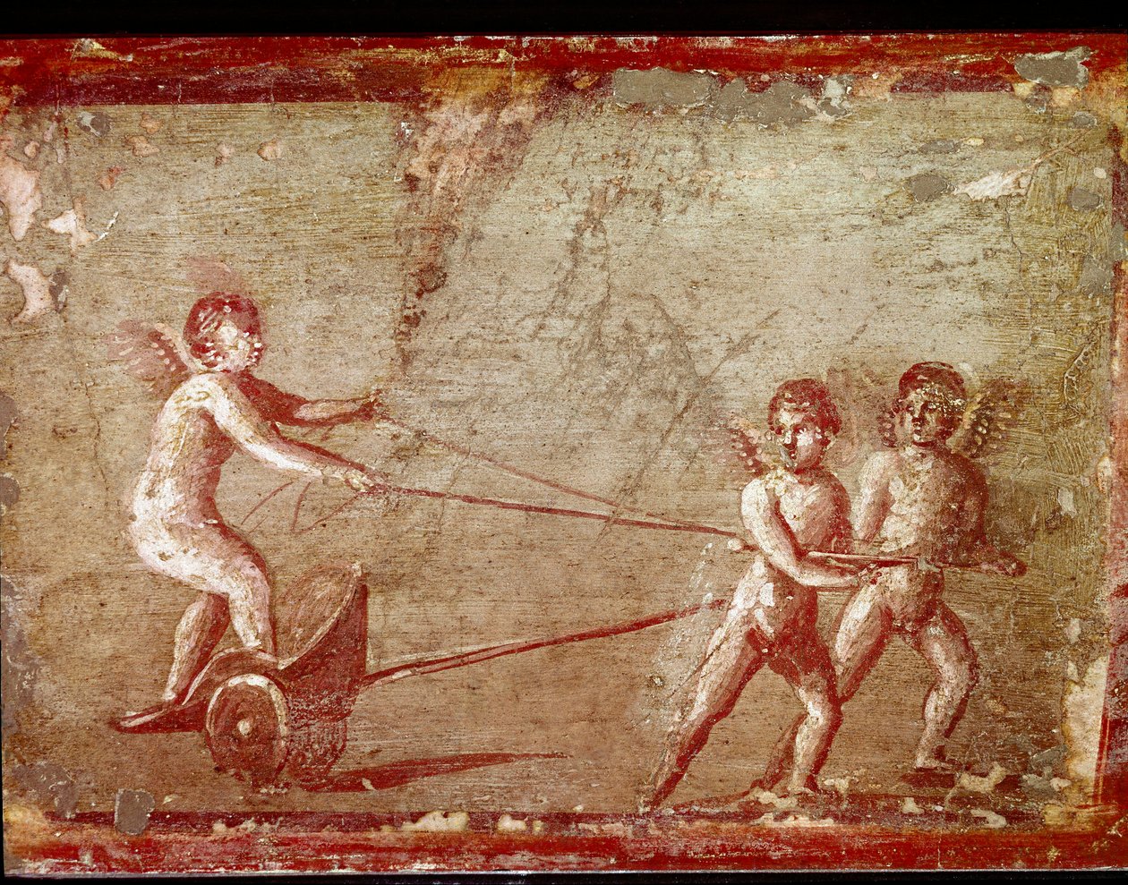 Cupido