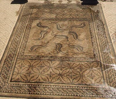 Dolfijnen, Romeins mozaïek uit het Huis van Orpheus, 3e eeuw na Chr. door Roman