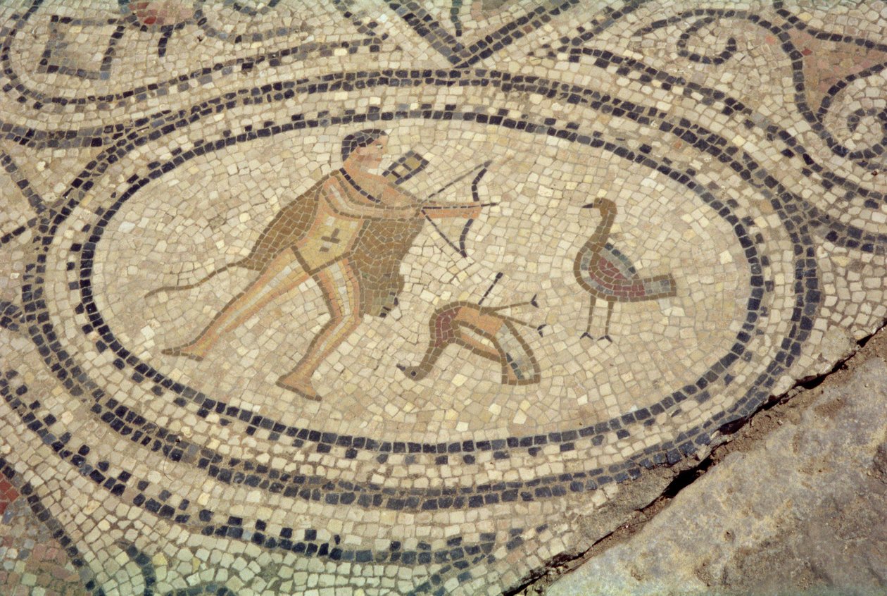Hercules en de Stymphalische Vogels, van de vloer van 