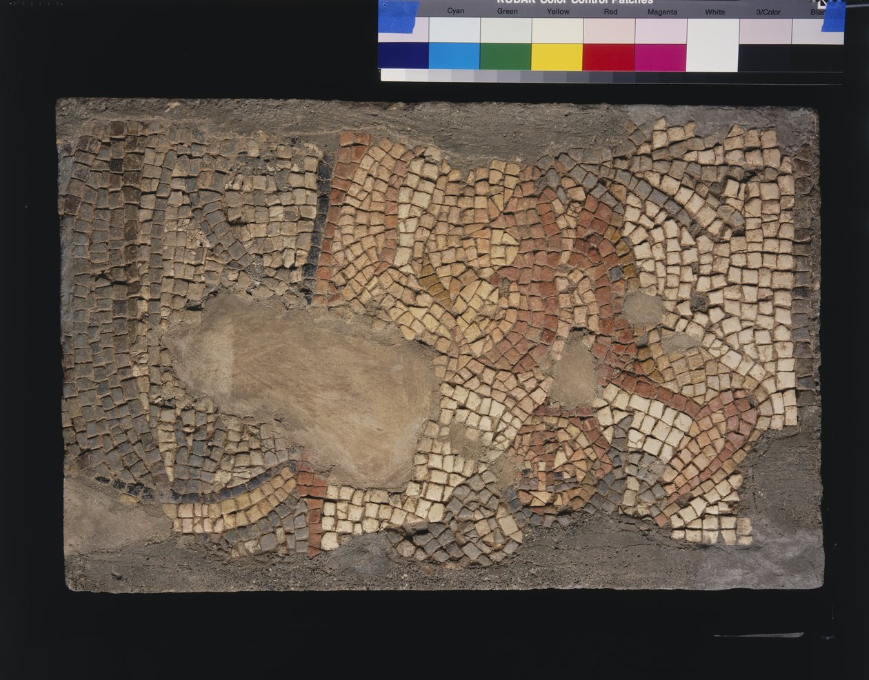 Mozaïek uit het Huis van Menander met Zeus, 3e - 4e eeuw door Roman