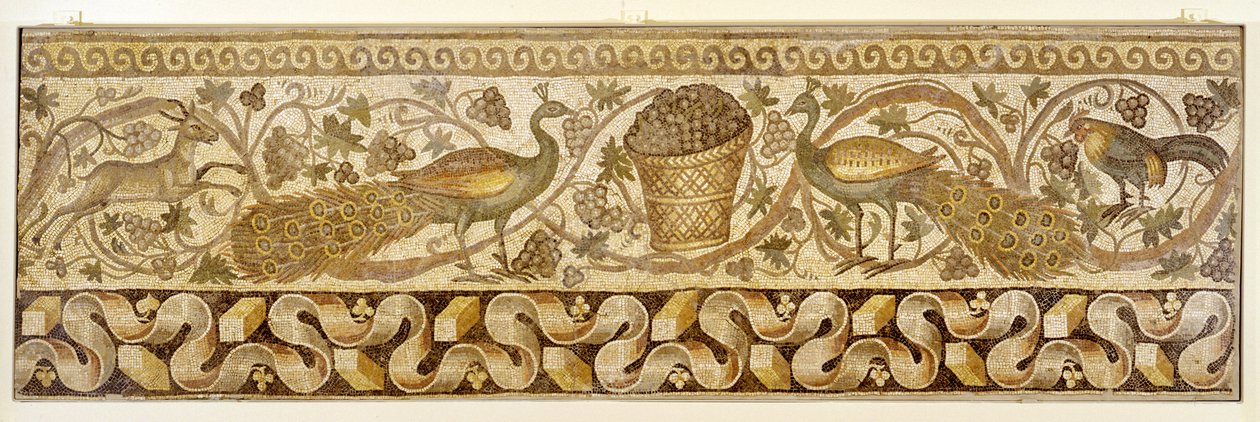 Mozaïek van een wijnrankrand met pauwen, Antiochië, 526-540 door Roman