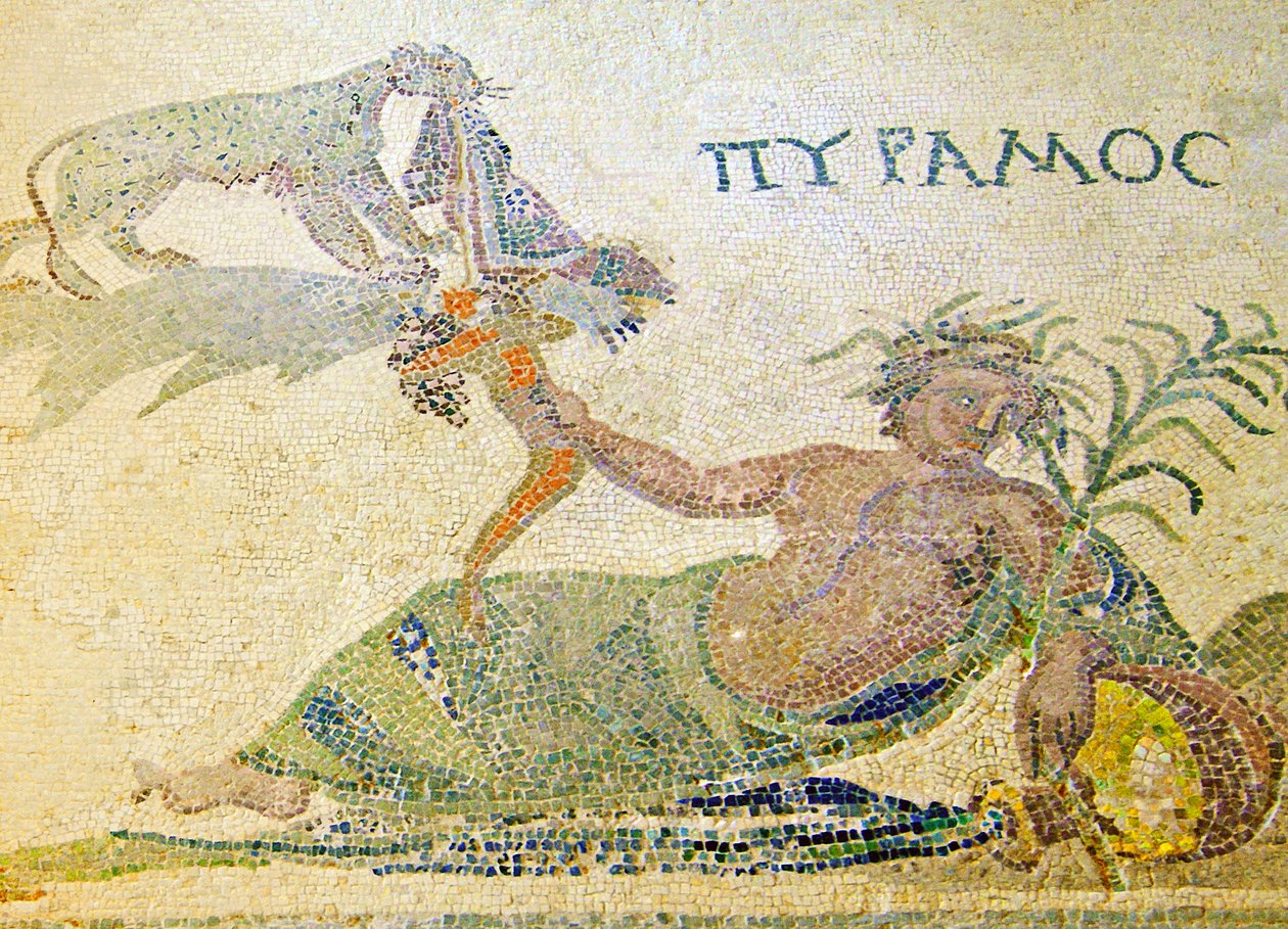 Pyramus en Thisbe, detail van Pyramus en de luipaard, Huis van Dionysos, Paphos, Cyprus mozaïek door Roman