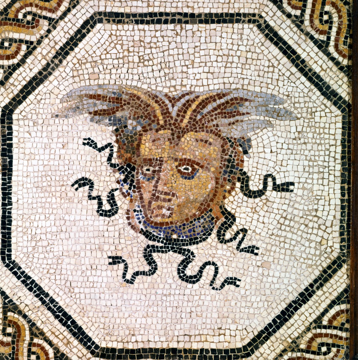 ROMANSE KUNST: Medusa. door Roman