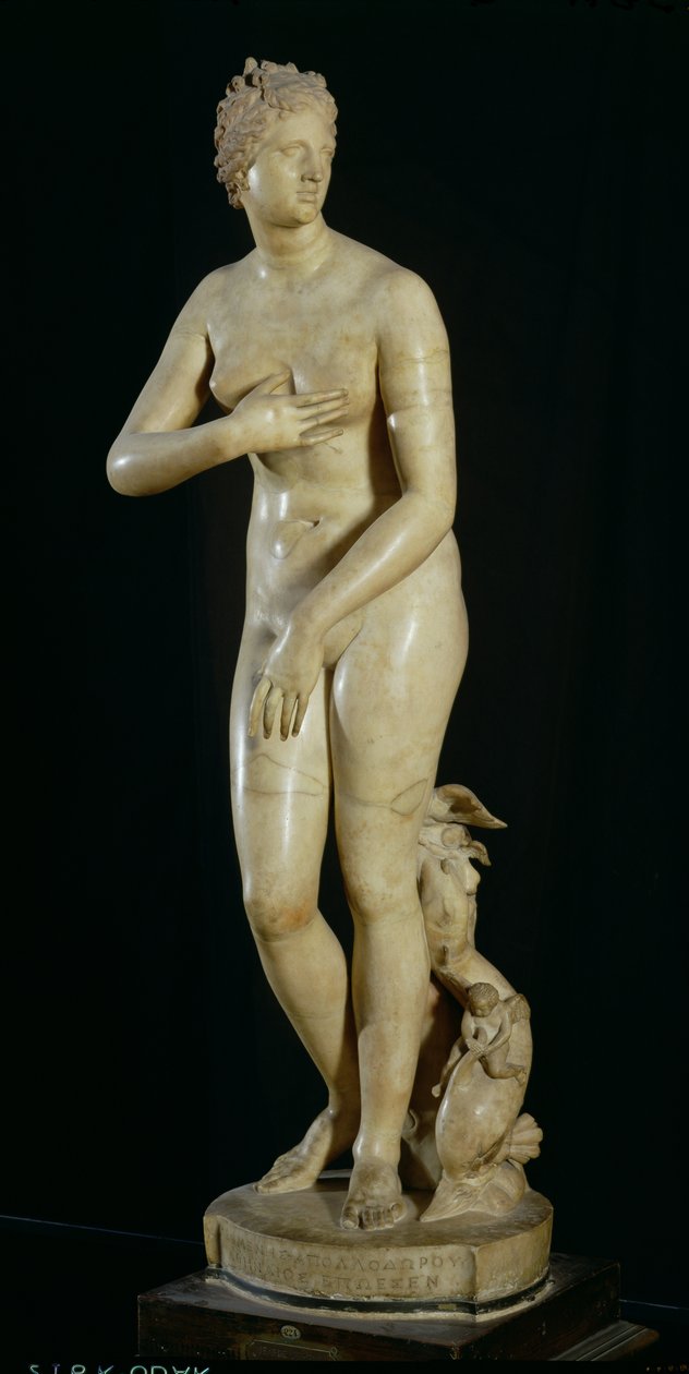 De Medici Venus, kopie van het Hellenistische origineel door Praxiteles door Roman