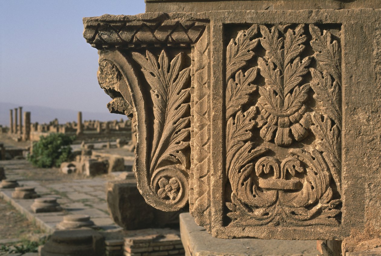 Architectonisch fragment met gebeeldhouwde decoratie, Sertius Markt, Hoge Keizerlijke Periode (27 v.Chr.-395 n.Chr.) door Roman Imperial Period
