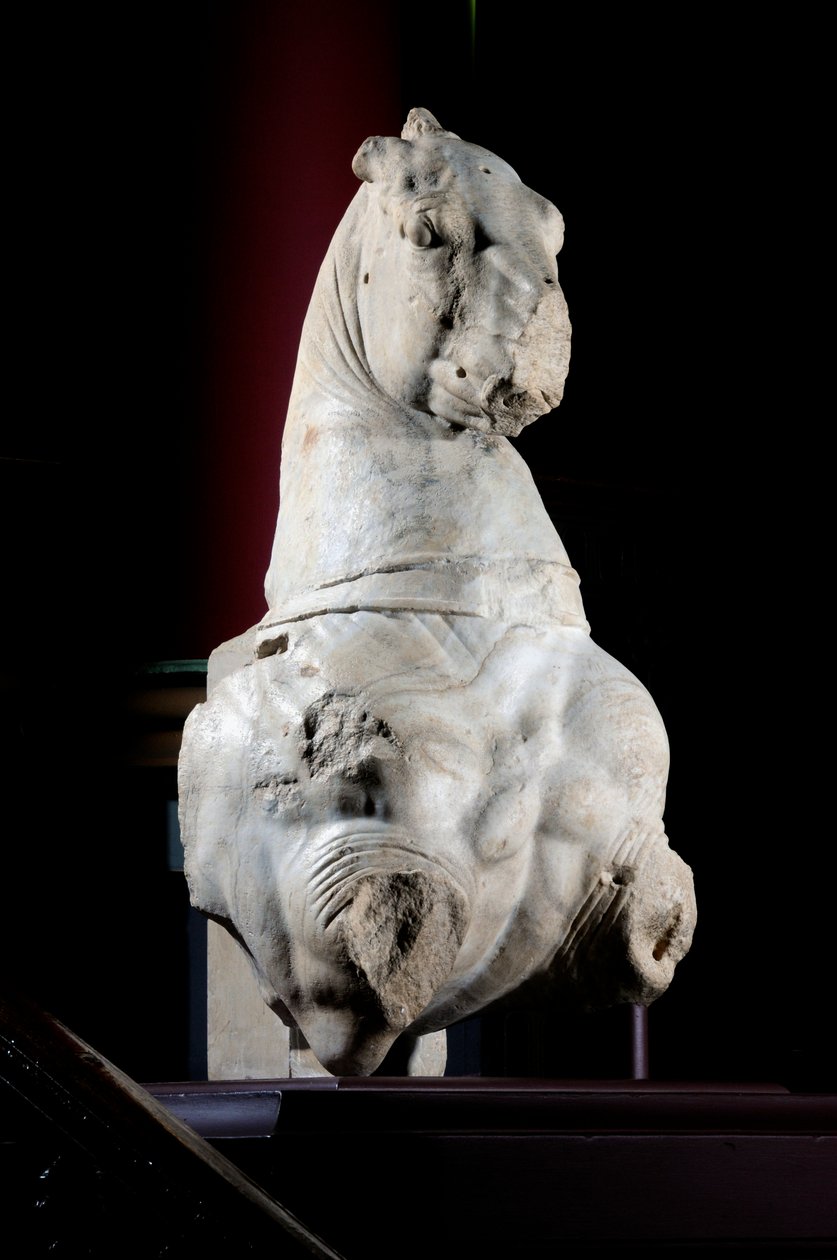 Voorkant van een paard (marmer) door Roman Roman