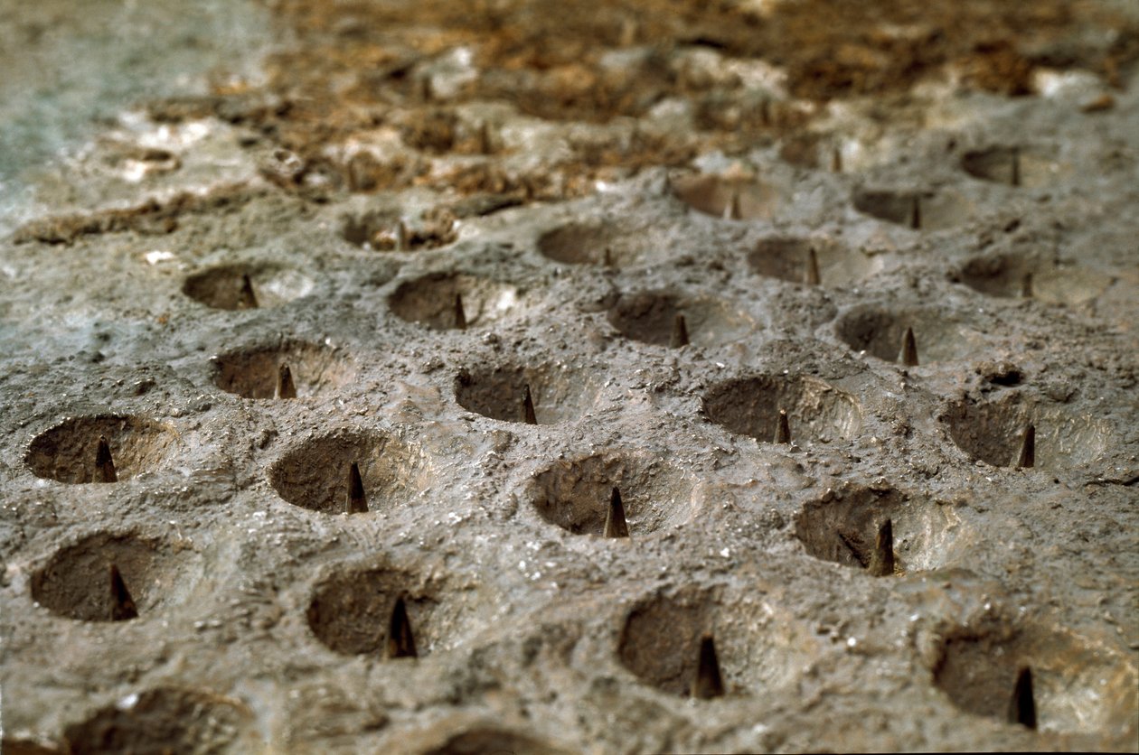 Model dat het beleg en de slag bij Alesia in september 52 v.Chr. door Julius Caesar weergeeft, die de nederlaag van Vercingetorix zag. Detail dat het verdedigingssysteem gebouwd door Caesar, de "Wolf Gules", voorstelt. Rome, Museo della Civilta Romana door Roman Roman