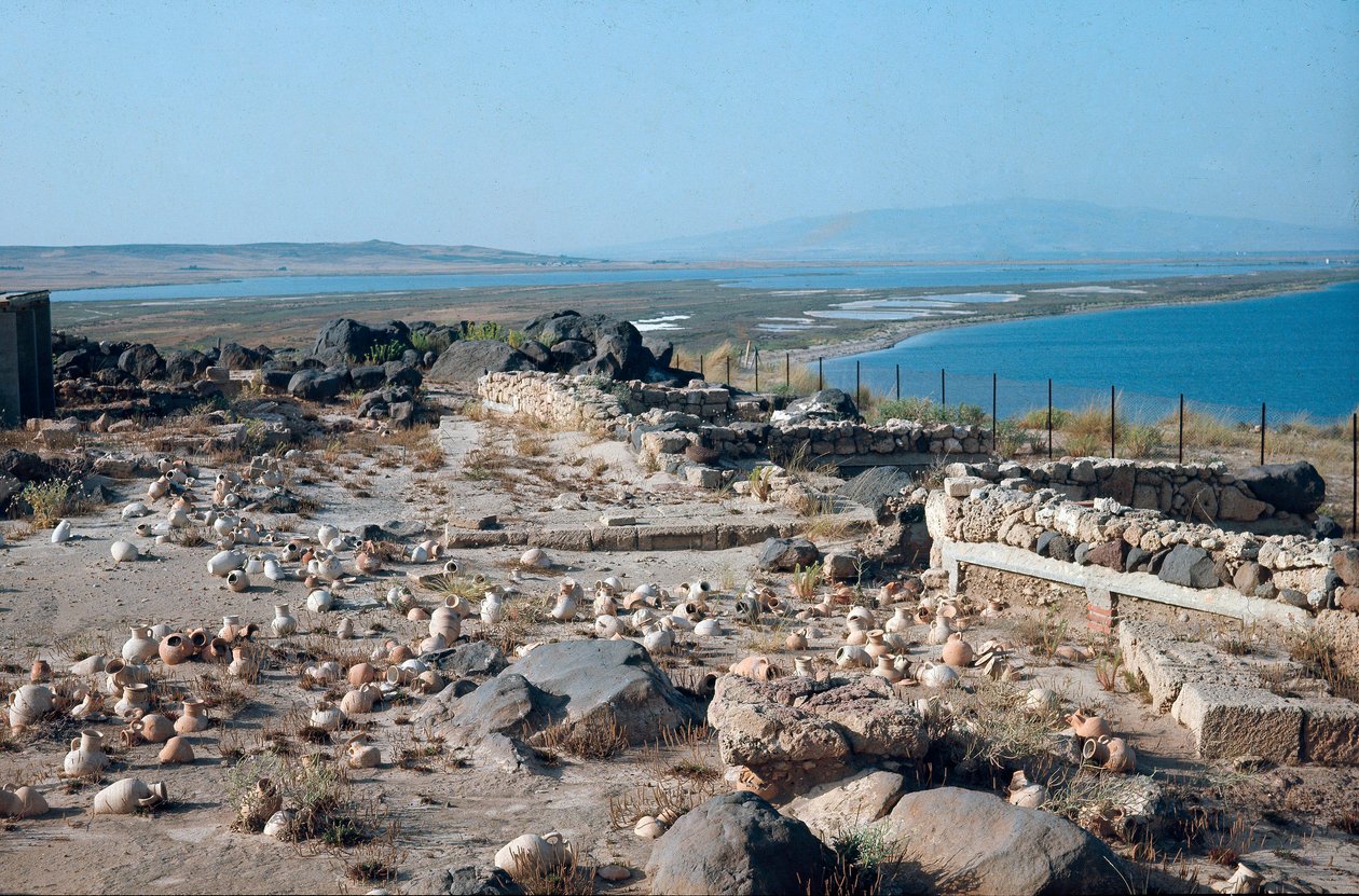 Zicht op de stad Tharros, oude Punisch-Romeinse haven, gesticht door de Feniciërs in Sardinië, Italië door Roman Roman