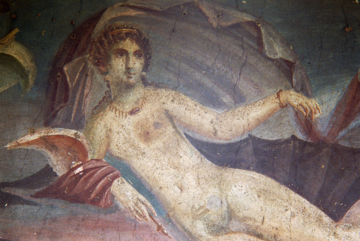 Venus in schelp, detail van fresco in peristylium, Huis van Venus in de Schelp, Pompeii (UNESCO Werelderfgoedlijst) door Roman Roman