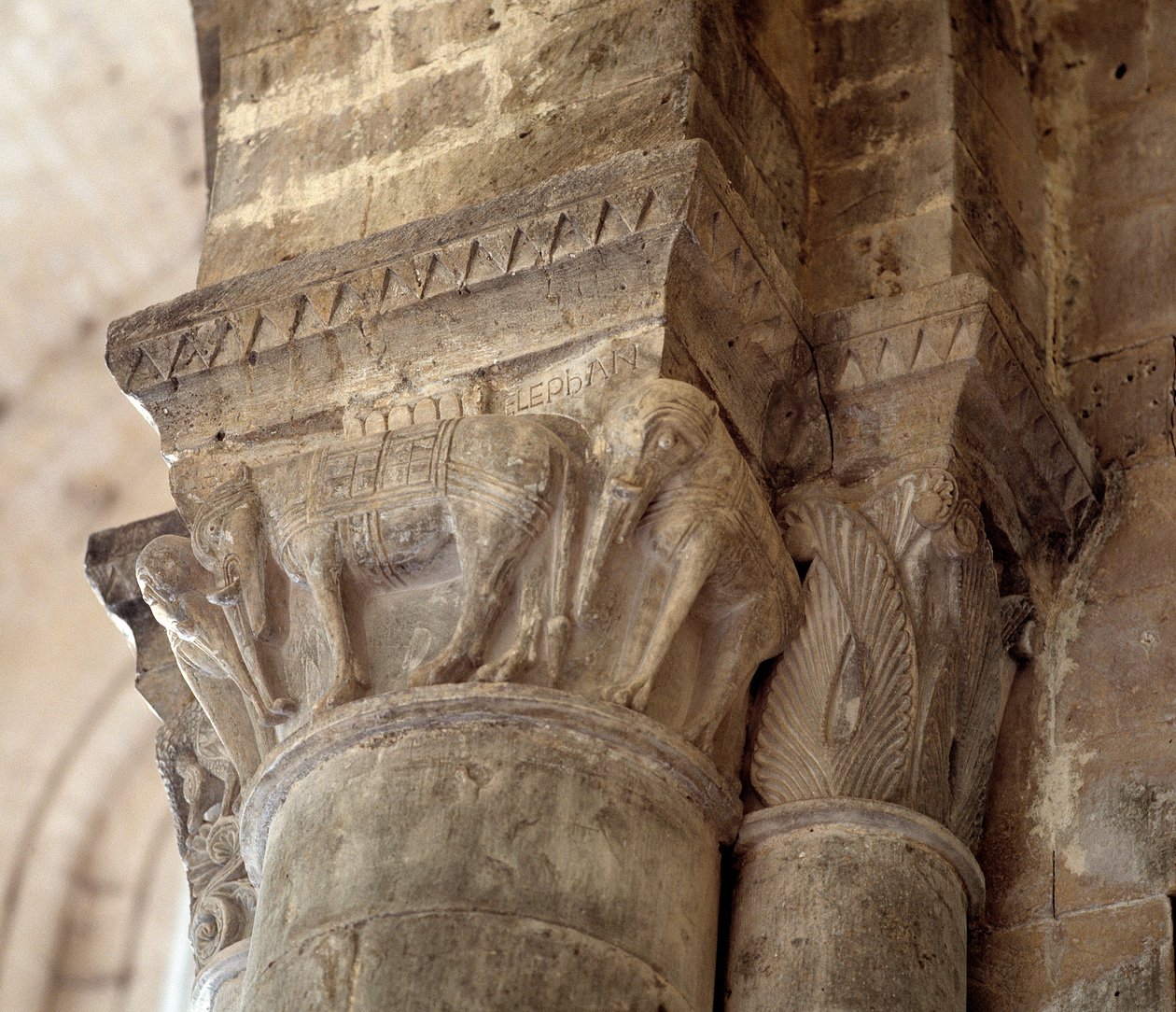 Olifanten (gekerfd kapiteel van het schip) door Romanesque