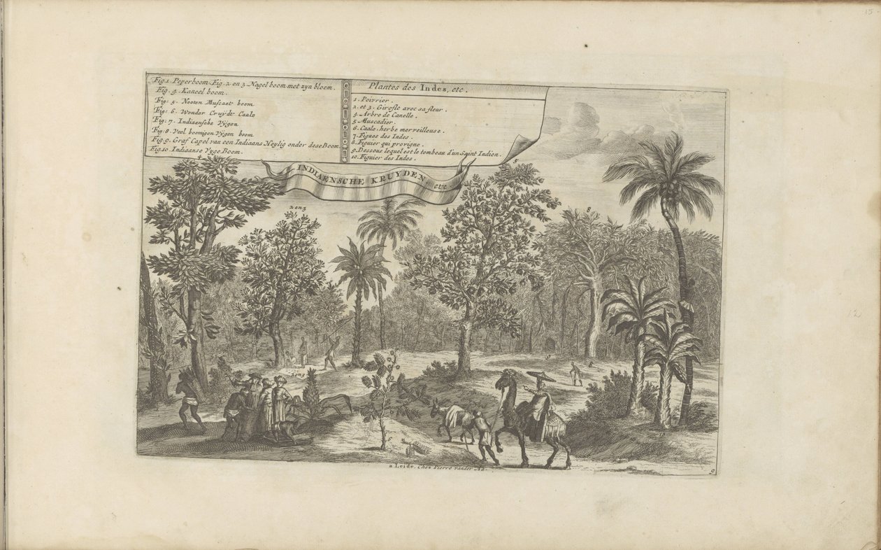 Bomen en specerijen door Romeyn de Hooghe