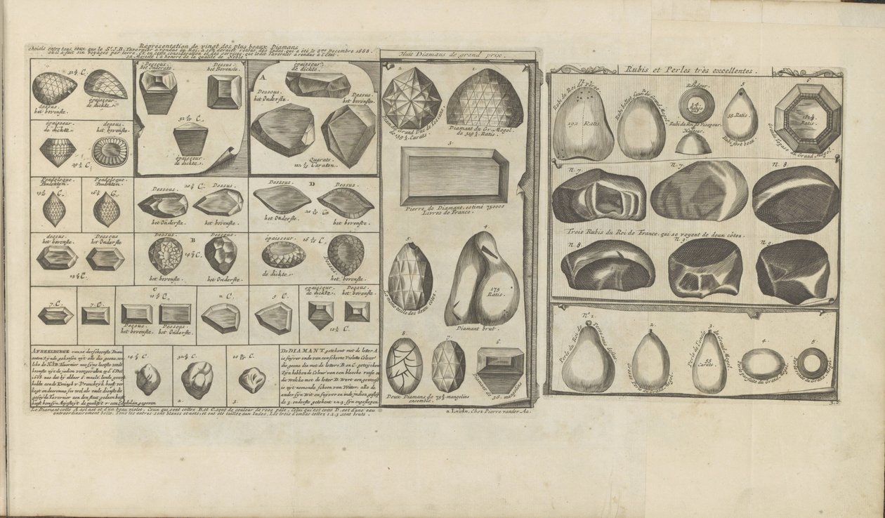 Diamanten, robijnen en parels door Romeyn de Hooghe