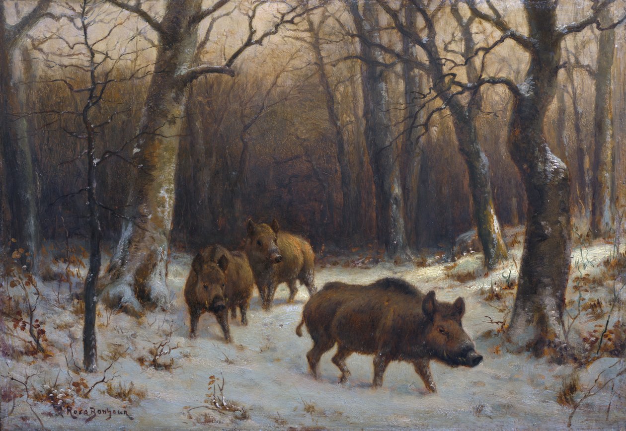 Frans:  Sangliers dans la neige Wilde zwijnen in de sneeuw door Rosa Bonheur