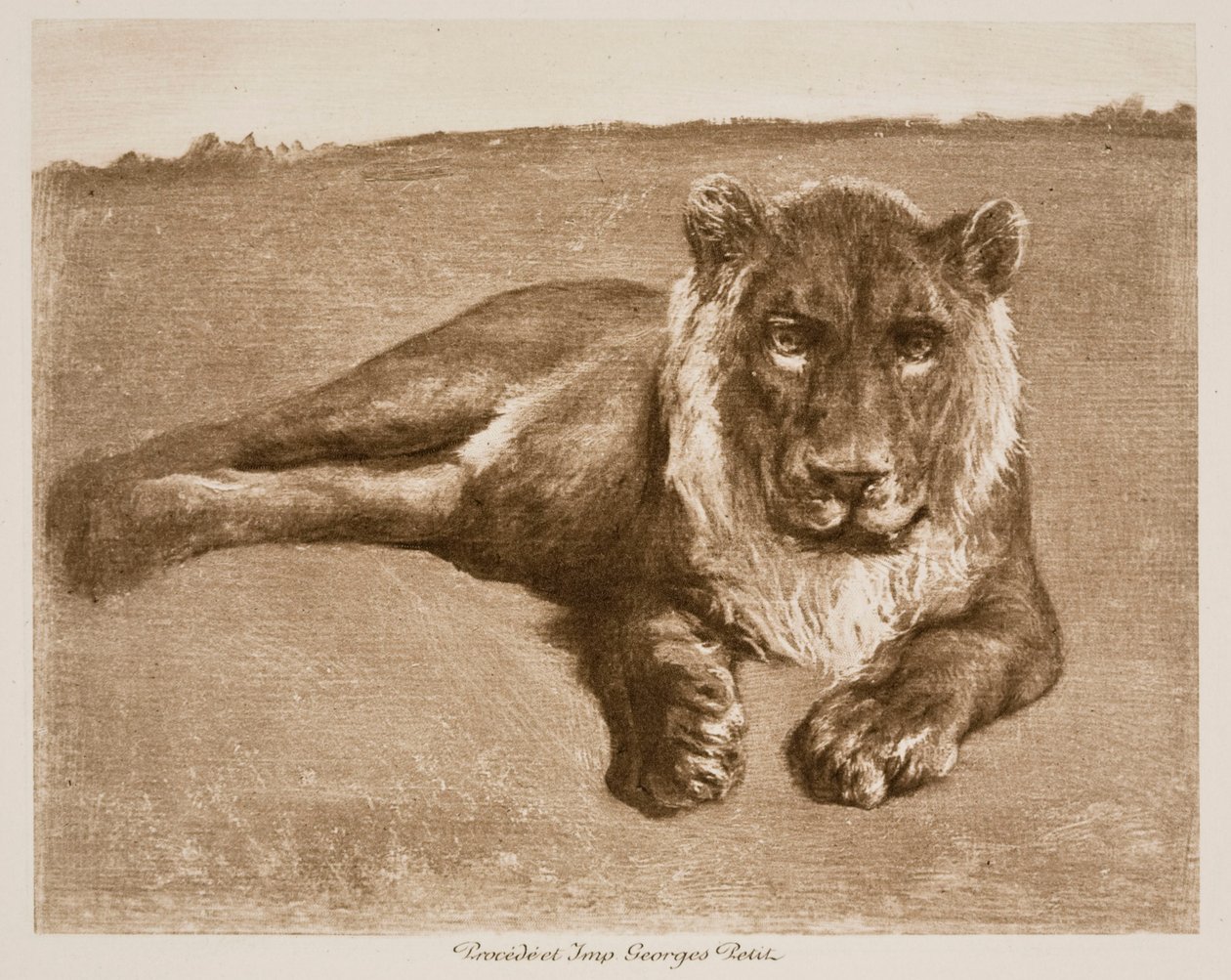 Leeuw door Rosa Bonheur