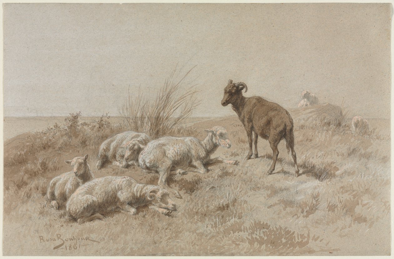 Schapen door Rosa Bonheur