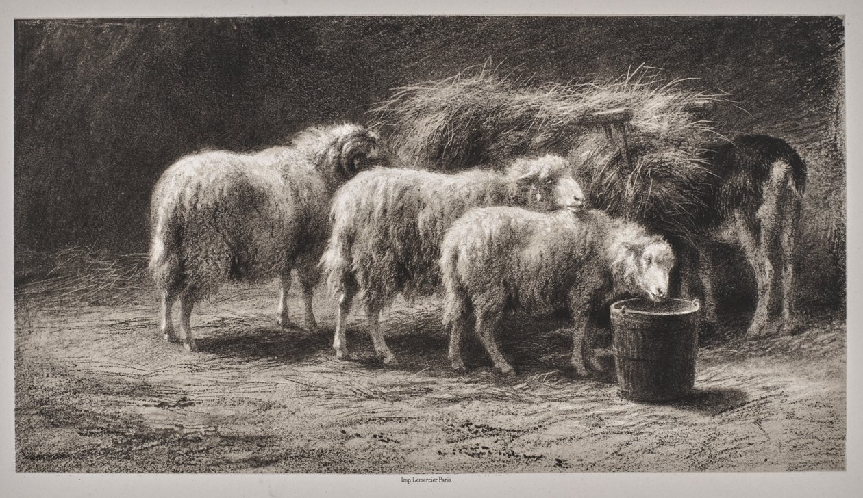 Schaapskooi door Rosa Bonheur