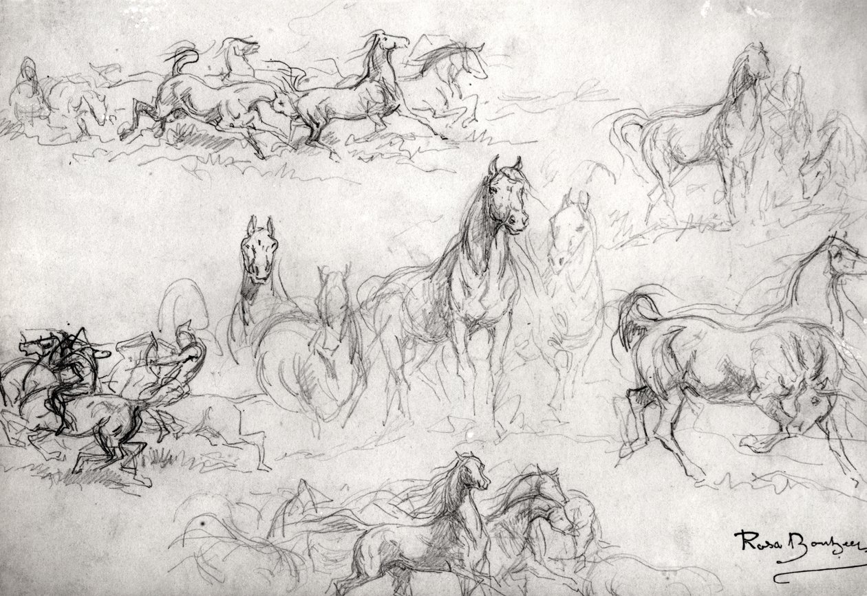 Studie van paarden door Rosa Bonheur