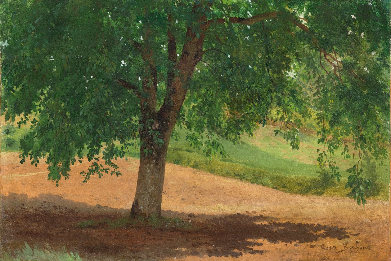 Studie van Licht en Schaduw door Rosa Bonheur