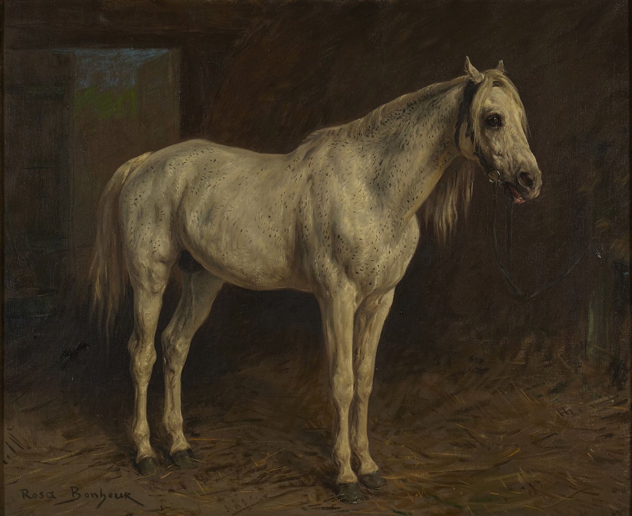 Wit paard door Rosa Bonheur