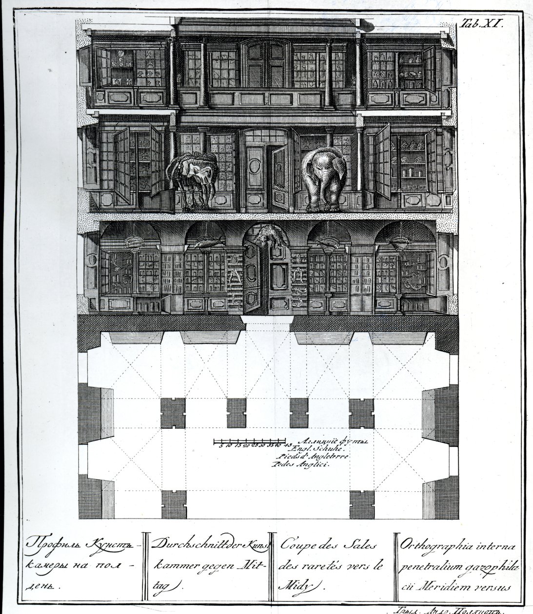 Een Doorsnede van de Hal der Zeldzaamheden naar het Zuiden, illustratie in Kamers van de St. Petersburgse Keizerlijke Academie van Wetenschappen Bibliotheek en Galerie met Plannen, Gevels en Profielen door Russian School