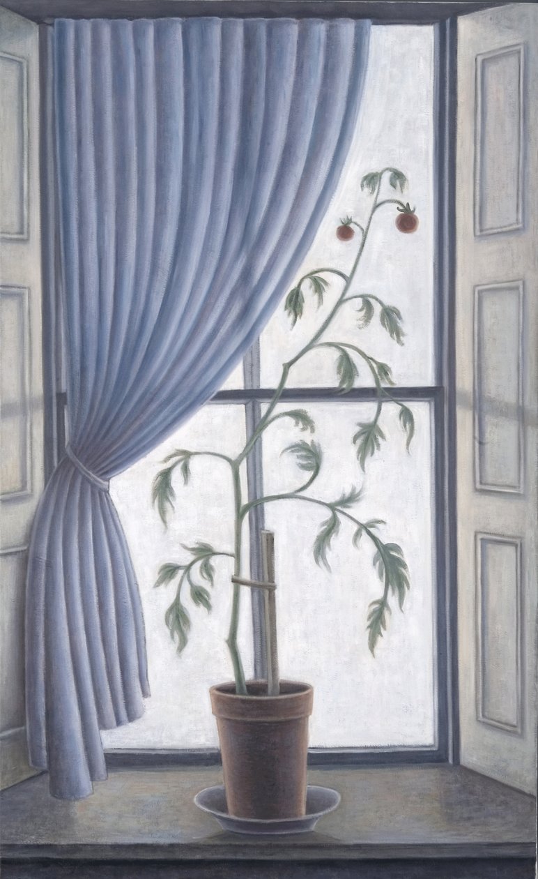 Plant in venster, 2003 door Ruth Addinall
