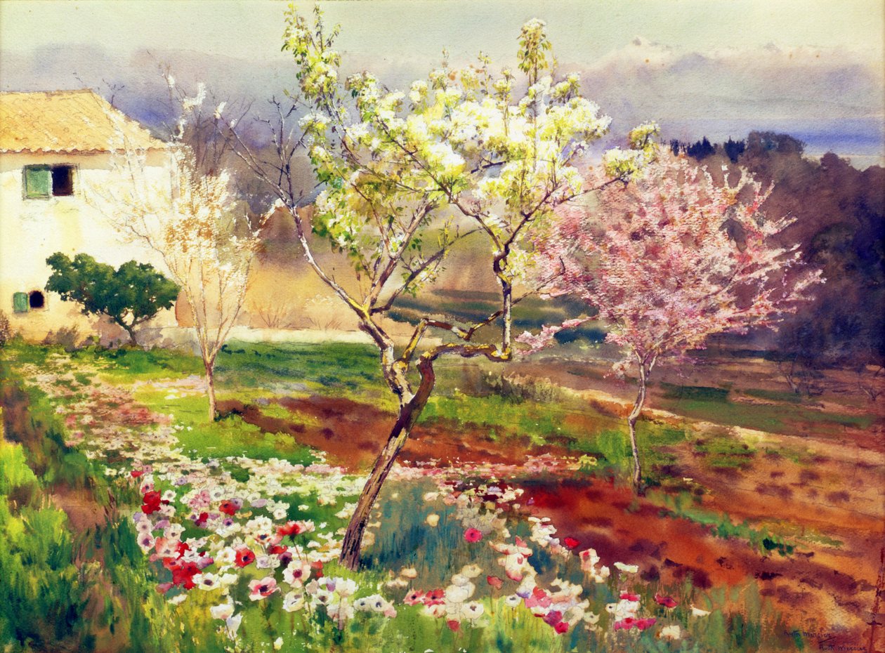 Lente in Frankrijk door Ruth Mercier