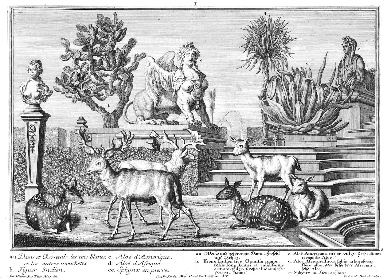 Damwild door Salomon Kleiner