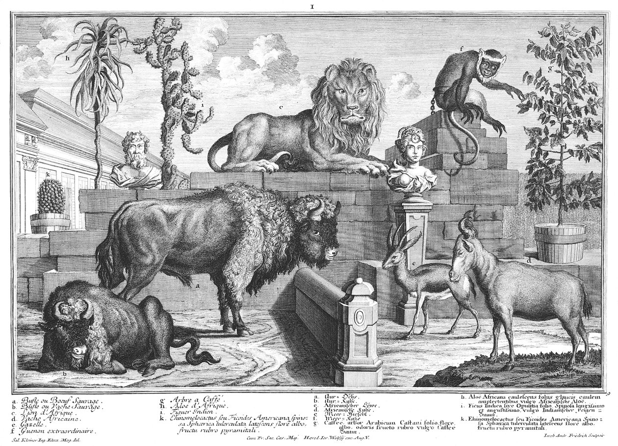 Leeuw en wisentpaar door Salomon Kleiner