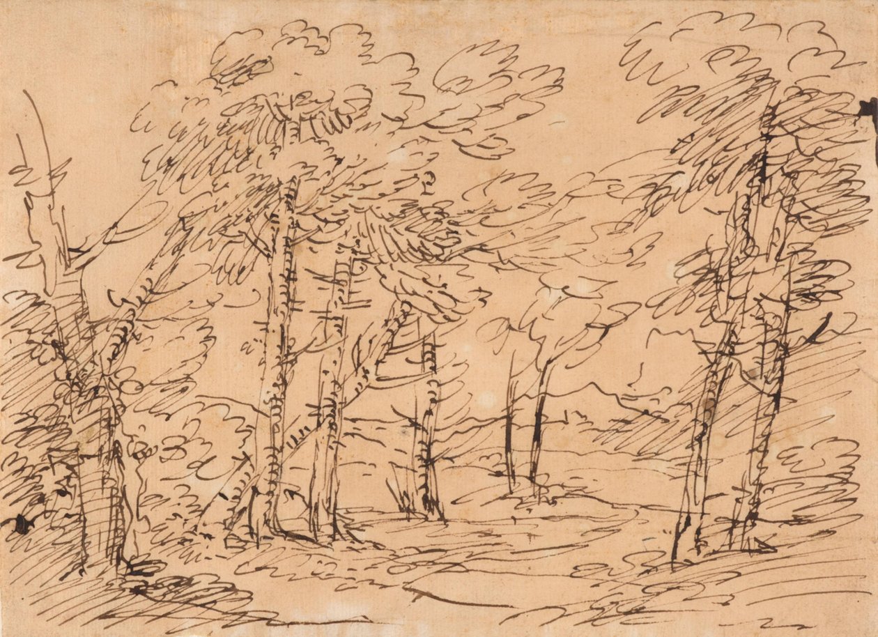 Landschap met bomen en bergen op de achtergrond door Salvator Rosa