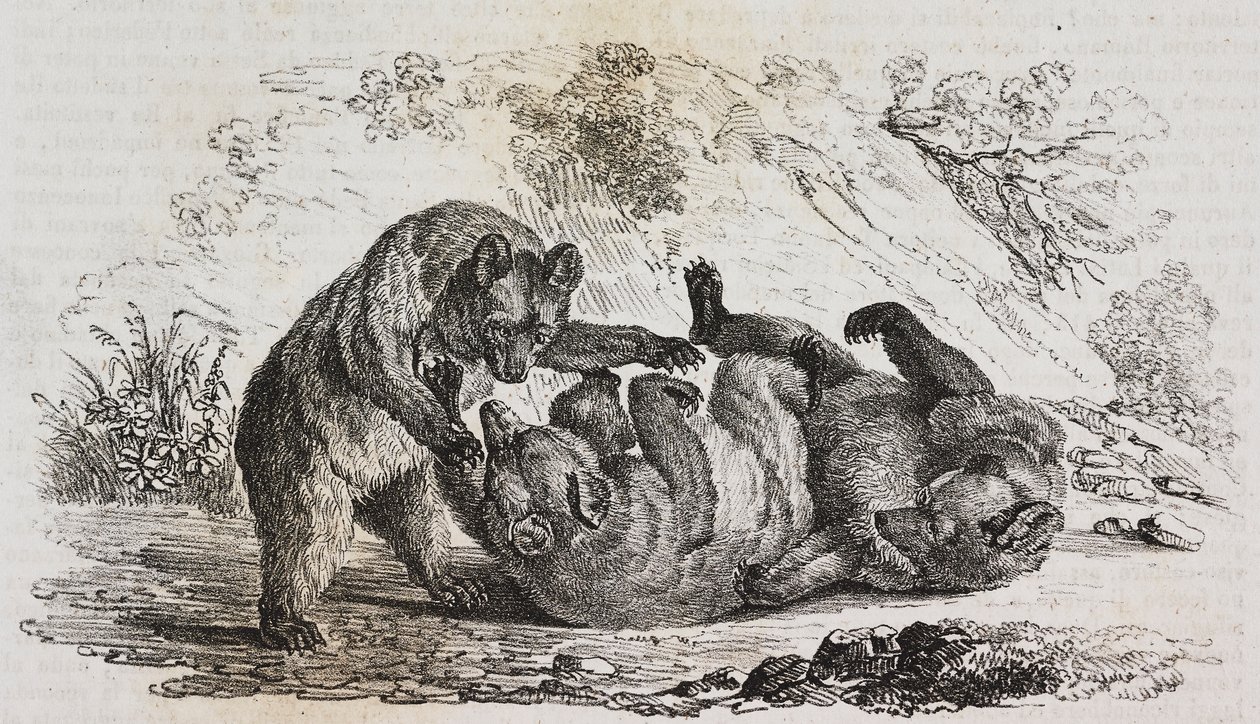 Beren van Asturië, Spanje, lithografie door Salvatore Puglia uit Poliorama Pittoresco, nr. 9, 7 oktober door Salvatore Puglia