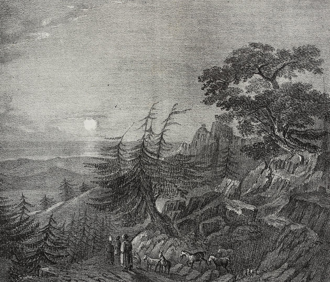 Landschap van het cederbos op de berg Libanon, nabij Beiroet, Libanon, lithografie door Salvatore Puglia uit Poliorama Pittoresco, nr. 11, 22 oktober door Salvatore Puglia