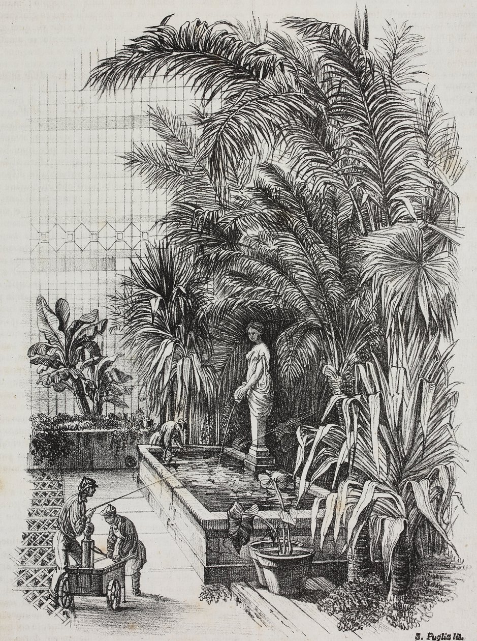 Laocoon en zijn zonen, Romeins standbeeld, lithografie uit Poliorama Pittoresco, nr. 1, 13 augustus door Salvatore Puglia