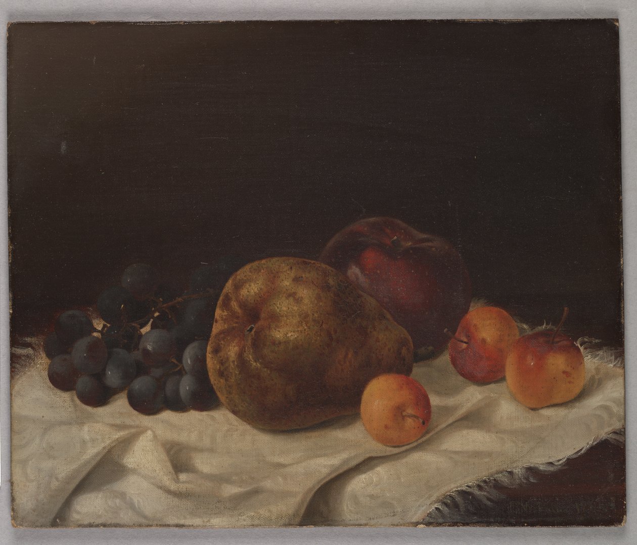 Stilleven met peer door Samuel W. Fuller