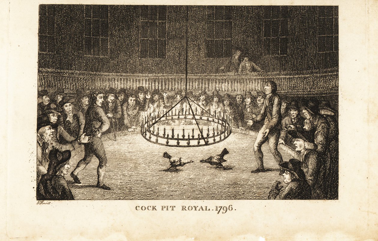 Gokkers kijken naar een hanengevecht bij kaarslicht in de Cock Pit Royal, St door Samuel (after) Howitt