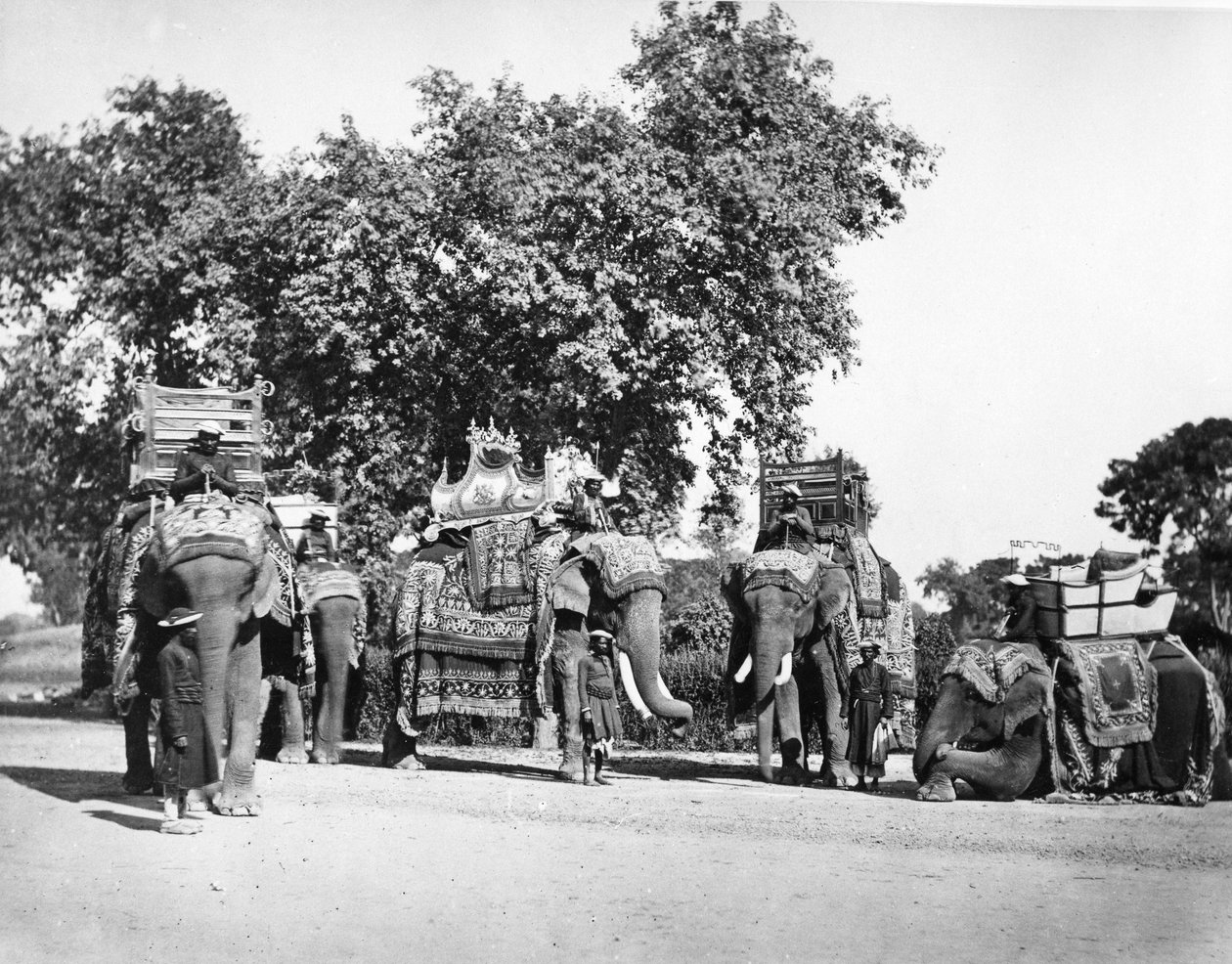 Een Groep Olifanten van de Onderkoning en hun Staatstuig, ca. 1860s door Samuel Bourne