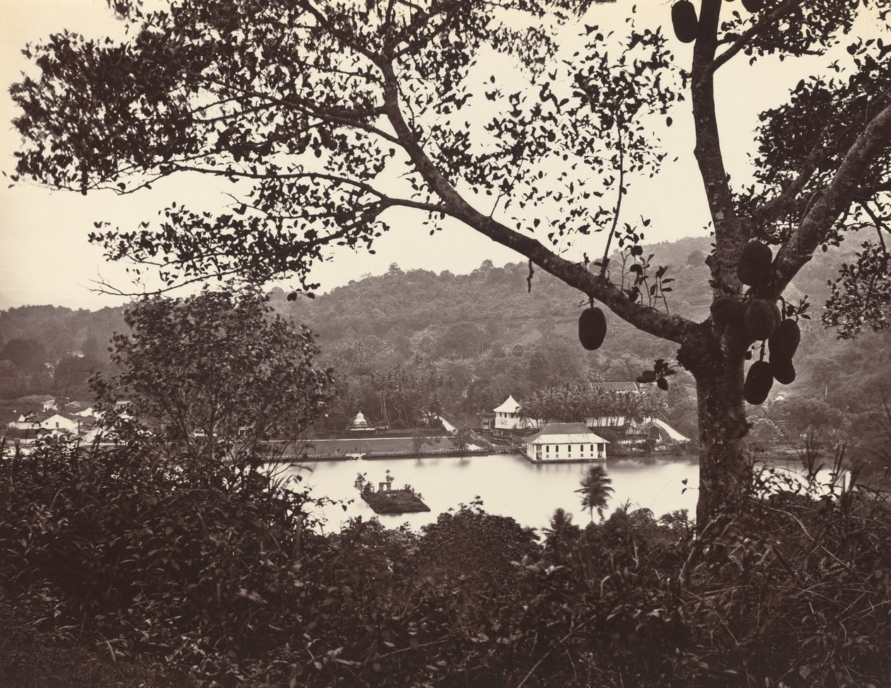 Een Blik vanaf Upper Lake Road met Tempel en Eiland met Park -- fruitboom op de voorgrond door Samuel Bourne