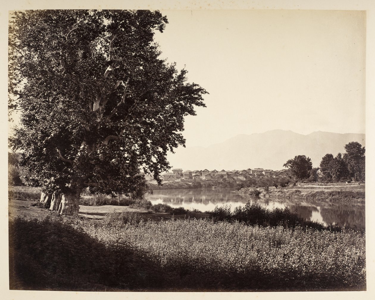Bij Bihara aan de Jhelum door Samuel Bourne