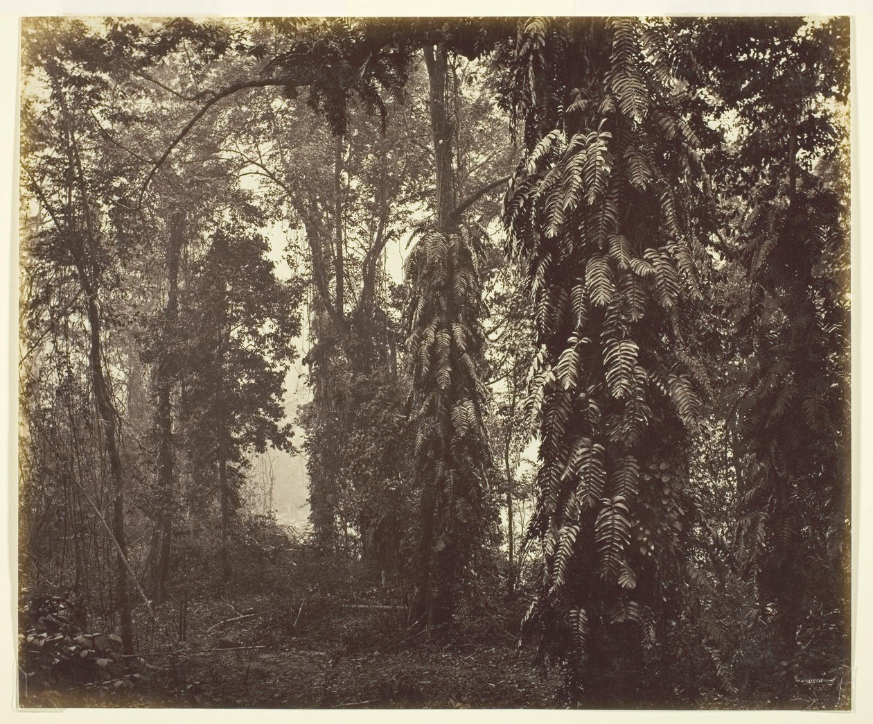 Darjeeling, India, ca. 1865 door Samuel Bourne