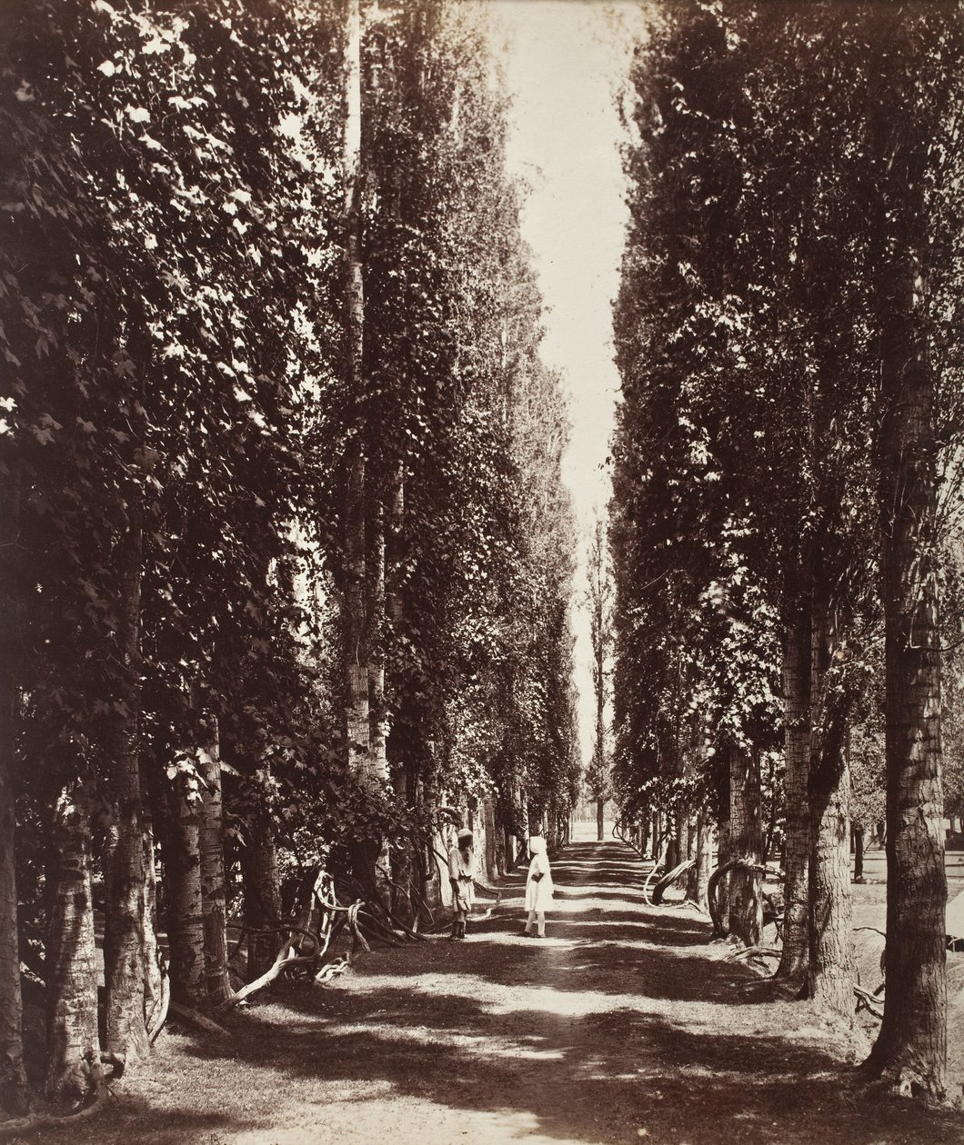 India door Samuel Bourne